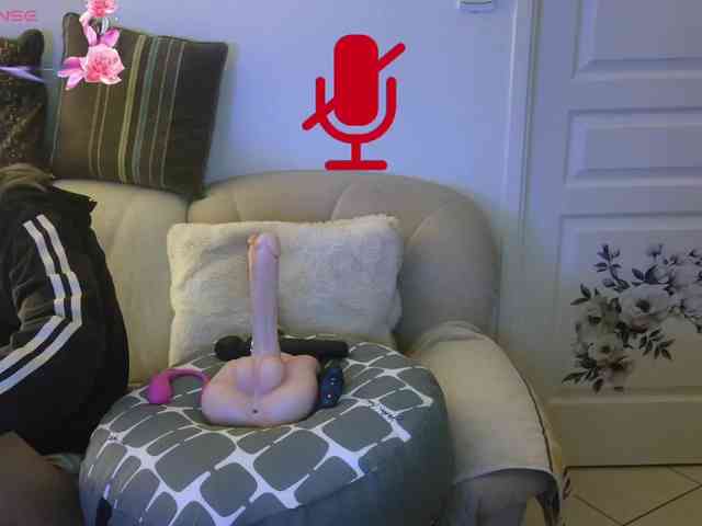 FRENCH-LISA webcam