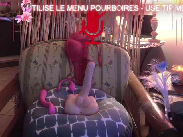 FRENCH-LISA webcam
