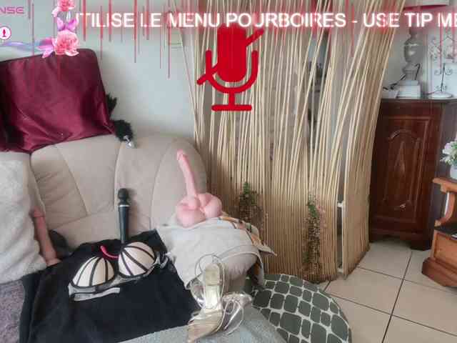 FRENCH-LISA webcam