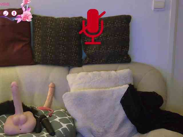 FRENCH-LISA webcam