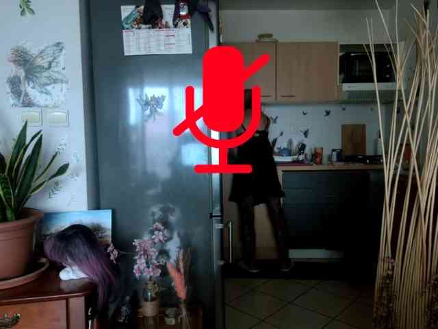 FRENCH-LISA webcam