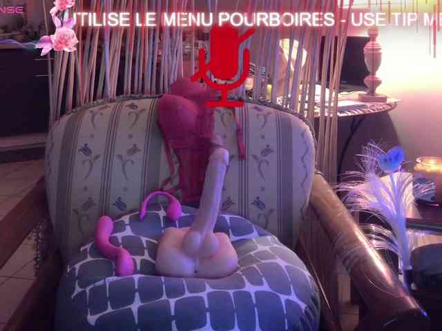 FRENCH-LISA webcam