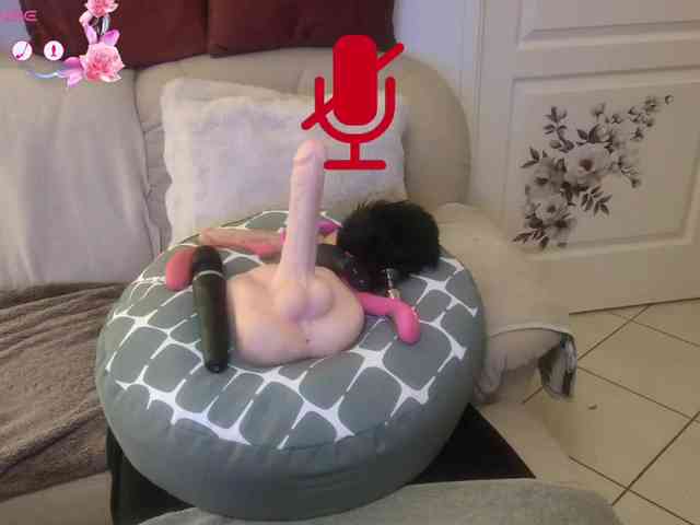 FRENCH-LISA webcam