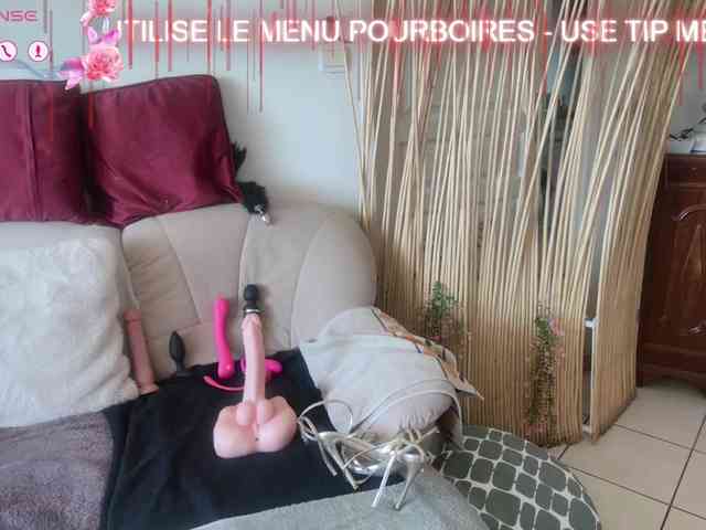 FRENCH-LISA webcam