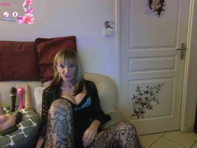 FRENCH-LISA webcam