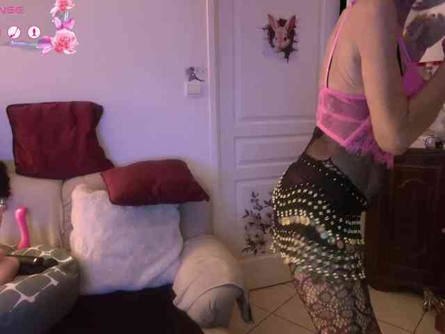 FRENCH-LISA webcam