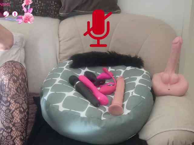 FRENCH-LISA webcam