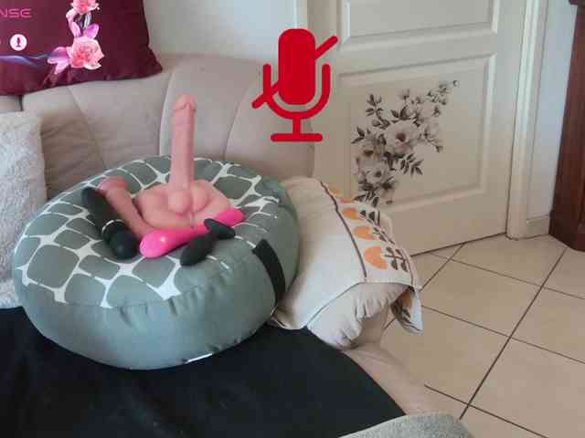 FRENCH-LISA webcam