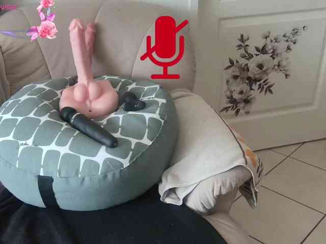 FRENCH-LISA webcam