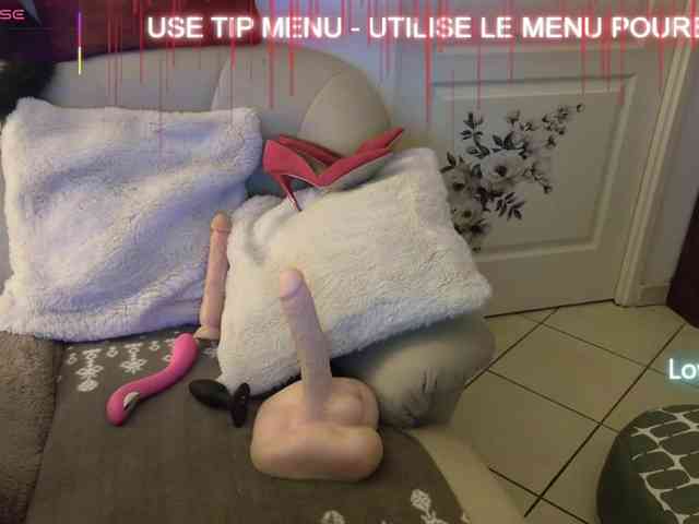 LISACAM2CAM LISACAM2CAM