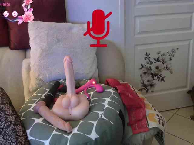 FRENCH-LISA webcam