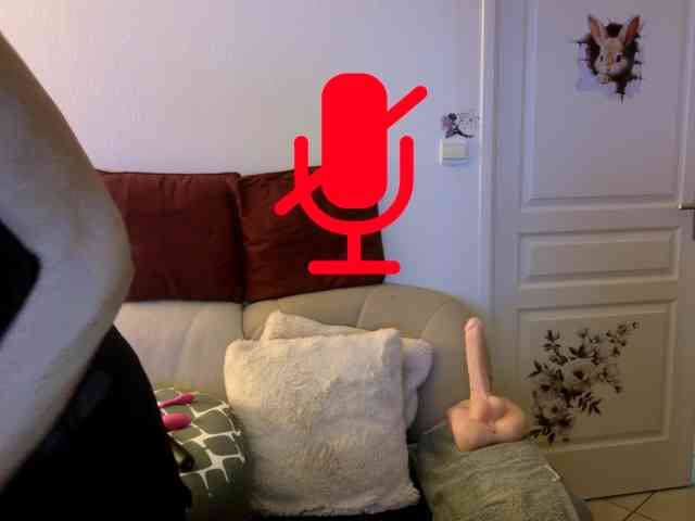 FRENCH-LISA webcam