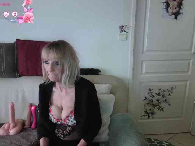 FRENCH-LISA webcam