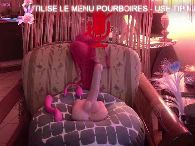 FRENCH-LISA webcam