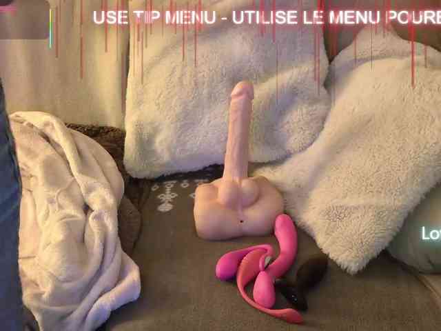 LISACAM2CAM LISACAM2CAM