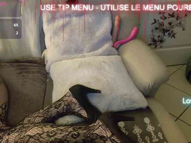 LISACAM2CAM LISACAM2CAM