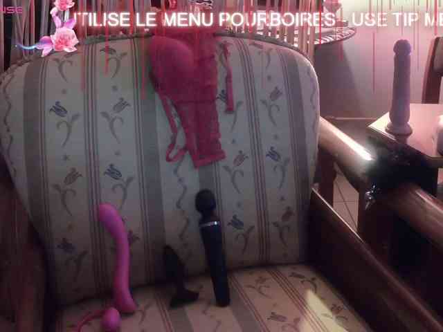 FRENCH-LISA webcam