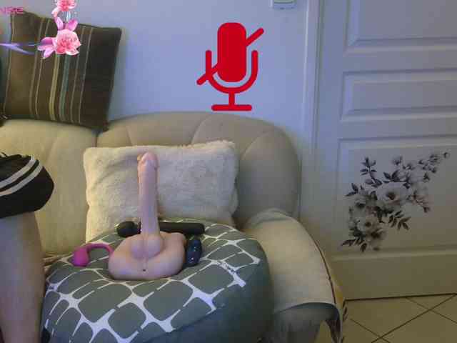 FRENCH-LISA webcam