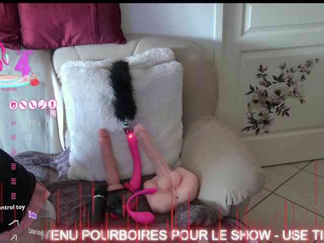 FRENCH-LISA webcam
