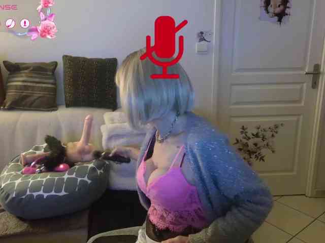 FRENCH-LISA webcam
