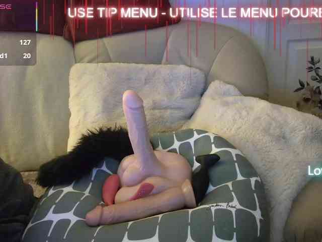 LISACAM2CAM LISACAM2CAM