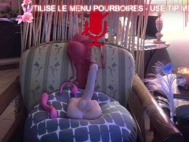 FRENCH-LISA webcam