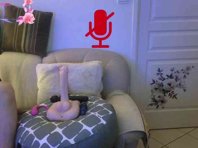 FRENCH-LISA webcam