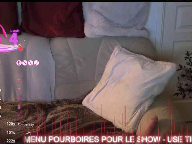 FRENCH-LISA webcam