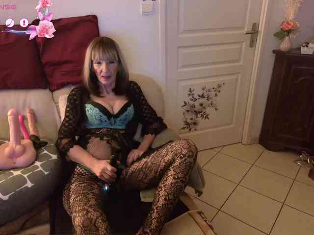 FRENCH-LISA webcam
