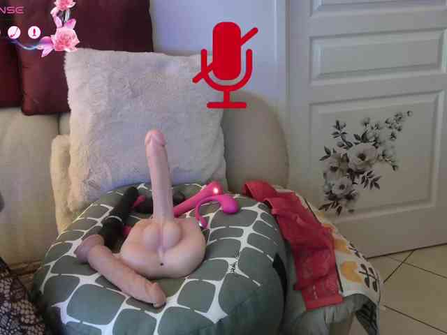 FRENCH-LISA webcam
