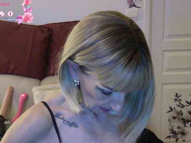 FRENCH-LISA webcam