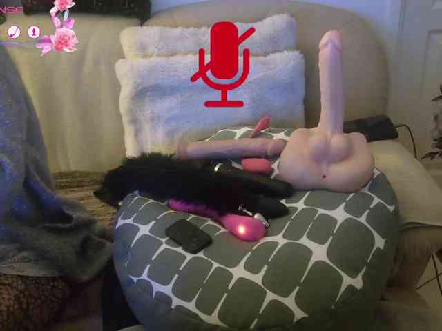 FRENCH-LISA webcam