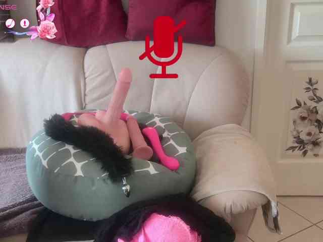 FRENCH-LISA webcam