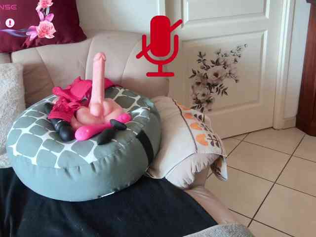 FRENCH-LISA webcam