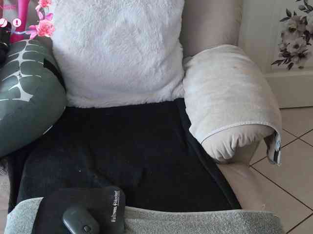 FRENCH-LISA webcam