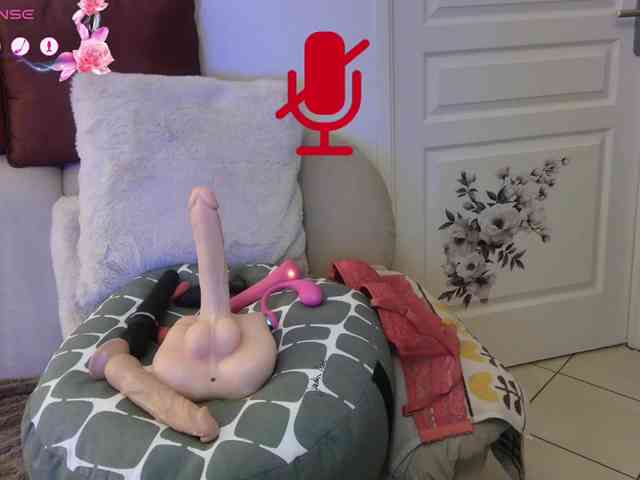 FRENCH-LISA webcam
