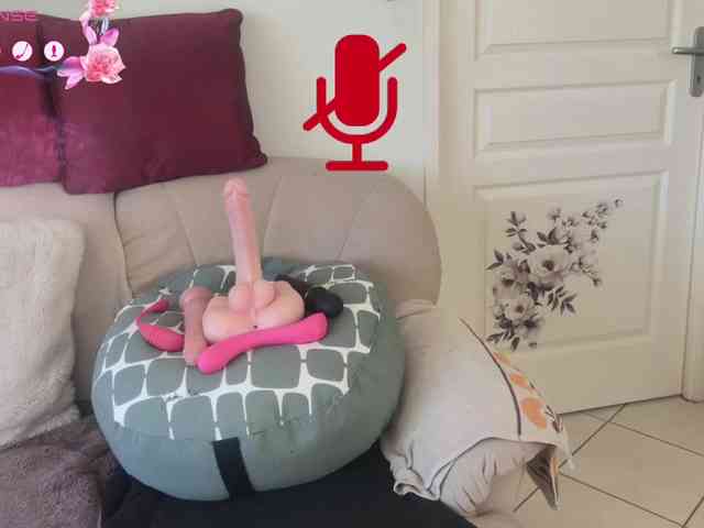 FRENCH-LISA webcam