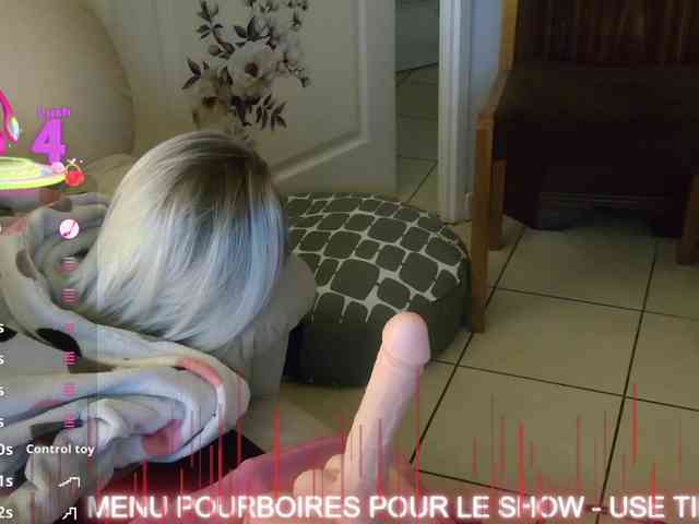 FRENCH-LISA webcam