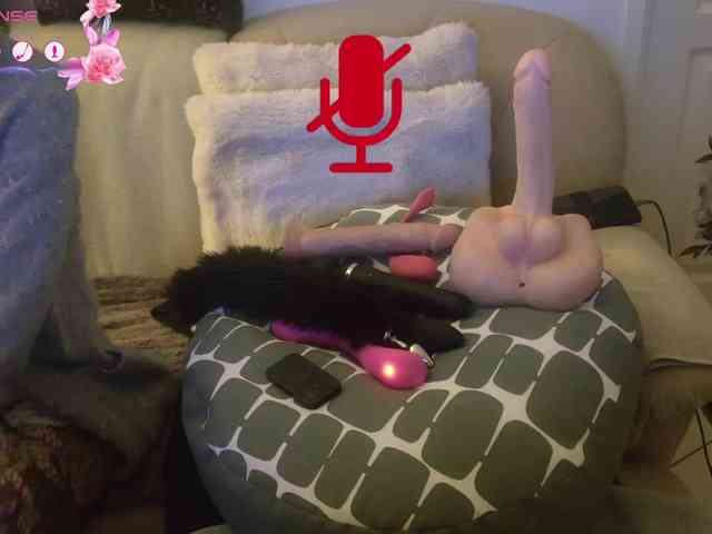 FRENCH-LISA webcam