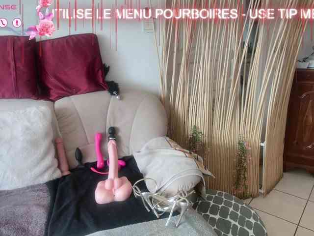 FRENCH-LISA webcam