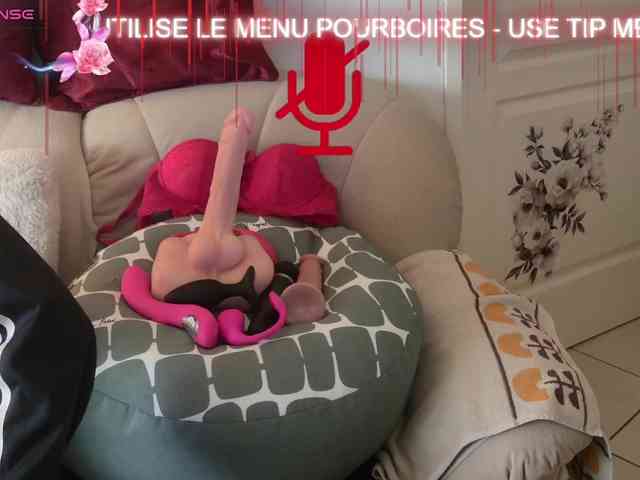 FRENCH-LISA webcam