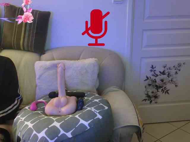 FRENCH-LISA webcam
