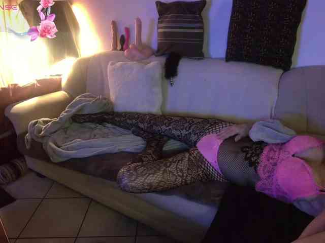 FRENCH-LISA webcam
