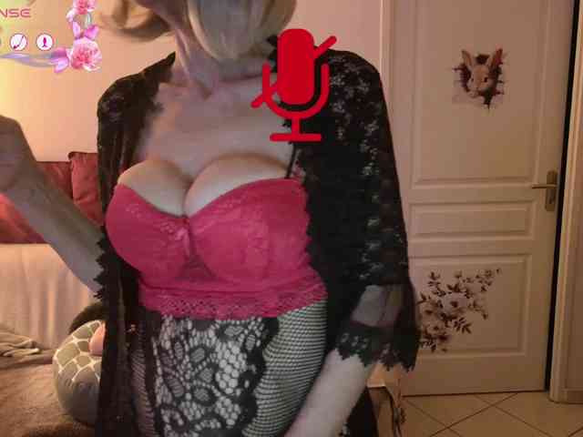 FRENCH-LISA webcam