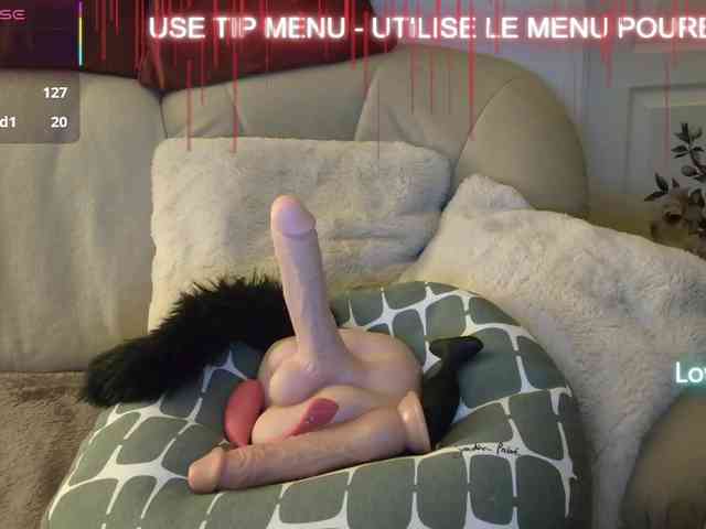 LISACAM2CAM LISACAM2CAM