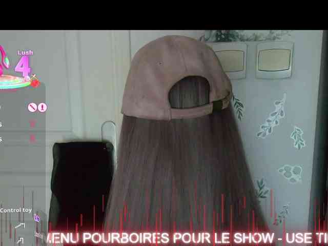 FRENCH-LISA webcam