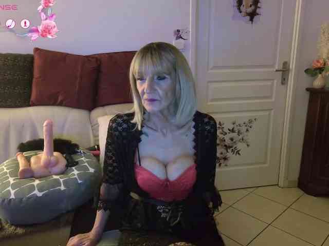 FRENCH-LISA webcam