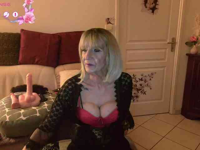 FRENCH-LISA webcam