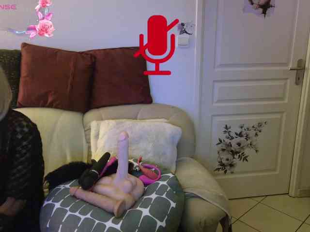 FRENCH-LISA webcam