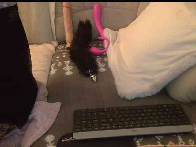 LISACAM2CAM LISACAM2CAM